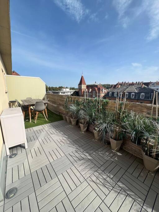 Cosy Orangerie Apartamento Estrasburgo